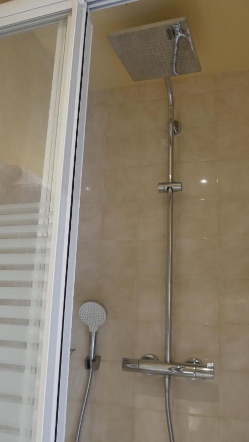 ליון Villa Seignemartin מראה חיצוני תמונה